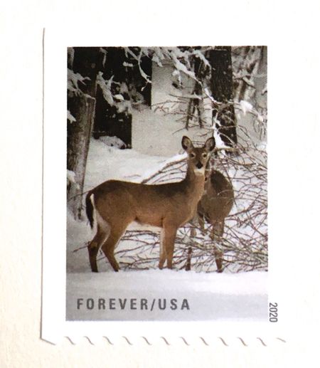 100 Deer Forever Stamps Winter Holiday Forest Snow Postage Stamps for Mailing